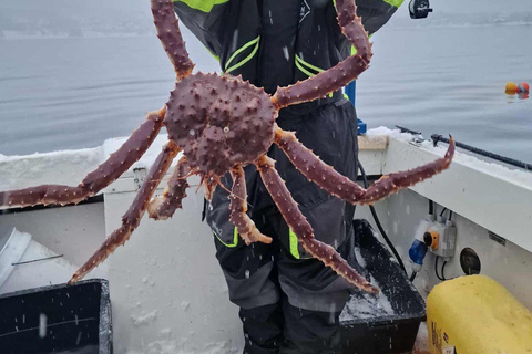 Tromsø: Arctic king crab cruise with self-captured lunch