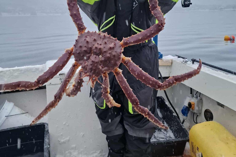 Tromsø: Arctic king crab cruise with self-captured lunch