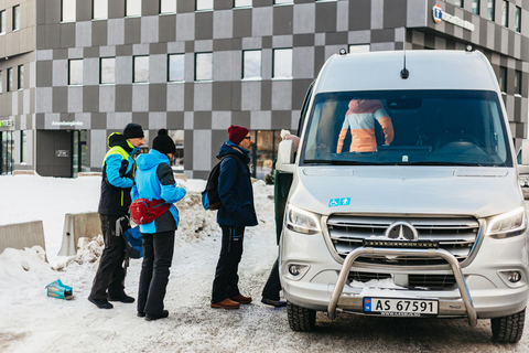 Tromsø: Arktyczny krajobraz i wycieczka po fiordach z przekąskami