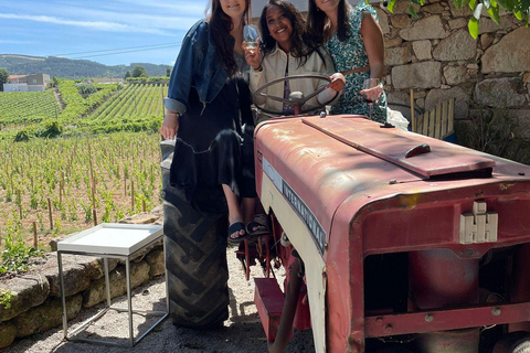 Private Douro Valley Full Day Tour Private Douro Valley Food and Wine Tour From Porto