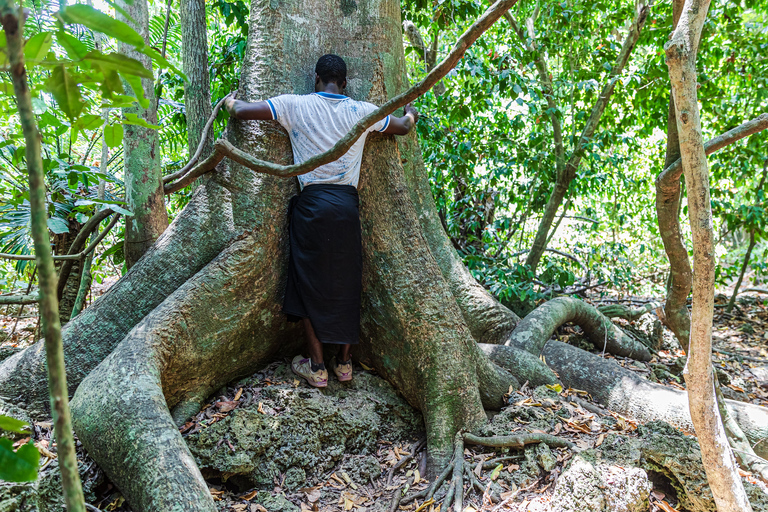 Exploring Nature's Treasures: A Private Day Trip in Diani Exploring Nature's Treasures: A Day Trip in Diani