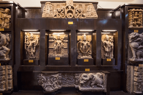 Desde Delhi: excursión de 1 día a Raipur y Rajim con vuelos