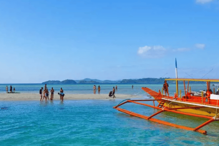 Port Barton : Circuit dans les îles vers Turtle Spot &amp; Reef avec déjeuner