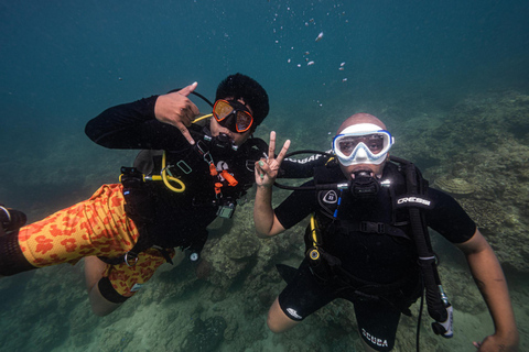 Phuket: Scuba Diving for Beginner (Shore dive in Kata beach) Phuket: Discovery Scuba Diving Experience Shore dive in Kata
