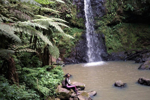 Nairobi: Kereita Forest Ziplining and Nature Walk Tour