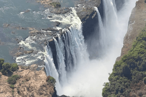Victoria Falls: Guided Tour, Bridge, & Big Tree Visit