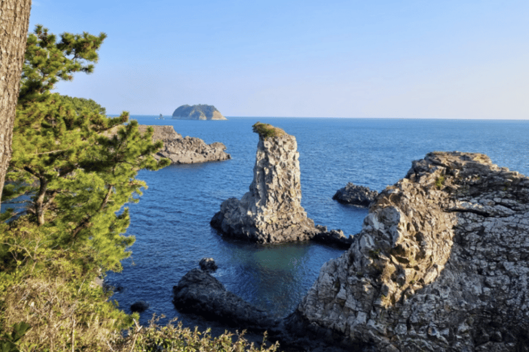 JEJU DU SUD : Visite privée tout compris avec coureur à pied