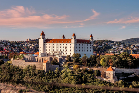 Bratislava: Passeggiata express con un locale in 60 minutiBratislava: passeggiata veloce con un locale in 60 minuti