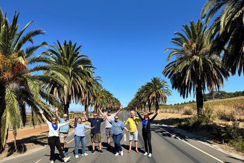 Adelaide: Mezza giornata di visite alla città, al monte Lofty e a HahndorfAdelaide: attrazioni della città di mezza giornata, Mt. Lofty e Hahndorf