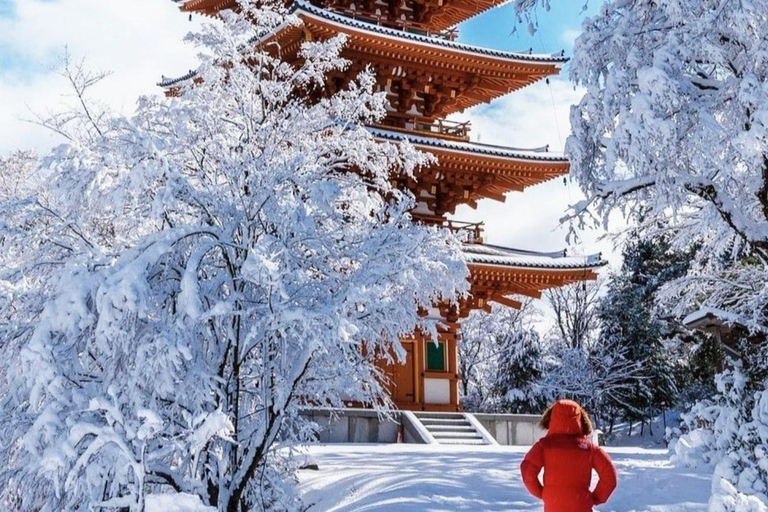 Tokyo: Mt. Fuji One-Day Private Customizable Luxury Tour Tokyo: Mt. Fuji One-Day Private Tour in Luxury Lexus