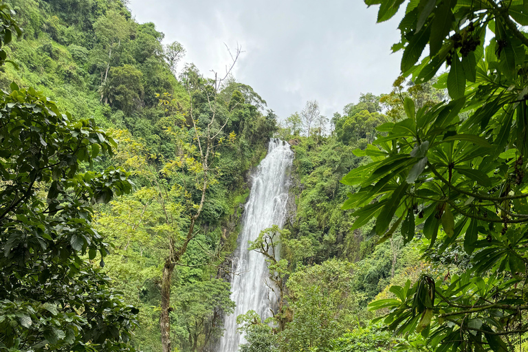 Sources thermales de Chemka, chute d&#039;eau de Materuni, visite du café