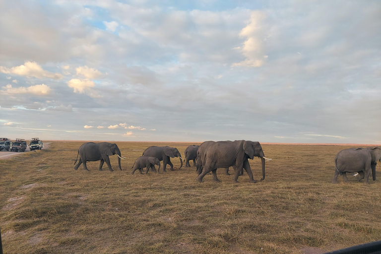 Red Elephants & Kilimanjaro Views: 3-day Tsavo East/Amboseli