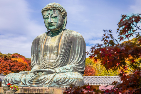 Tokyo: Kamakura One-Day Private Customizable Tour Tokyo: Kamakura One Day Private Customizable Tour