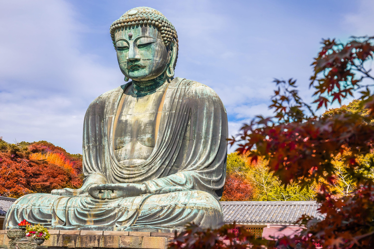 Tokyo: Kamakura One-Day Private Customizable Tour Tokyo: Kamakura One Day Private Customizable Tour