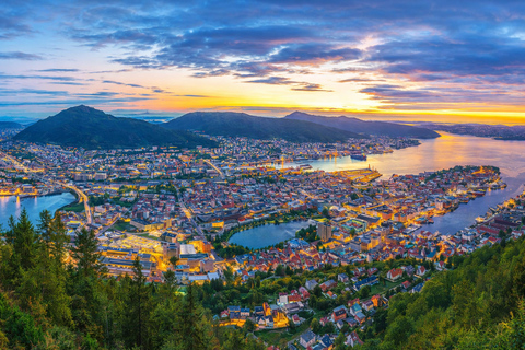 Bergen: Ulriken & Fløyen Tour (Cruise Friendly)