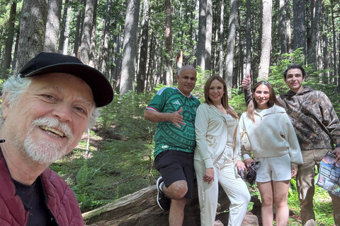 Mount Rainier National Park Small-Group DayTour from Seattle