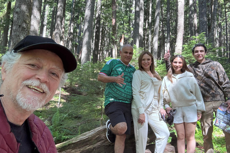 Mount Rainier National Park Small-Group DayTour from Seattle