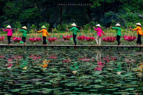 Hanoi: Trang An UNESCO, Mua Cave, Hoa Lu or Dich Long Pagoda GROUP: Hoa Lu, Trang An UNESCO BOAT, Mua Cave, Buffet, Cycle