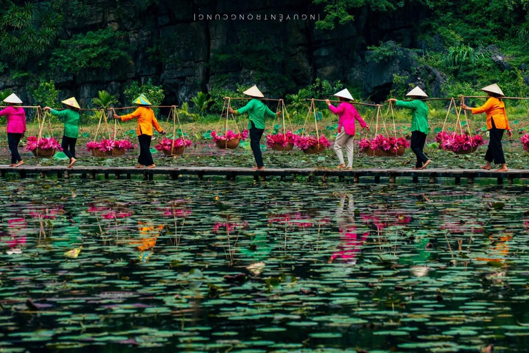Hanoi: Trang An UNESCO, Mua Cave, Hoa Lu or Dich Long Pagoda GROUP: Hoa Lu, Trang An UNESCO BOAT, Mua Cave, Buffet, Cycle