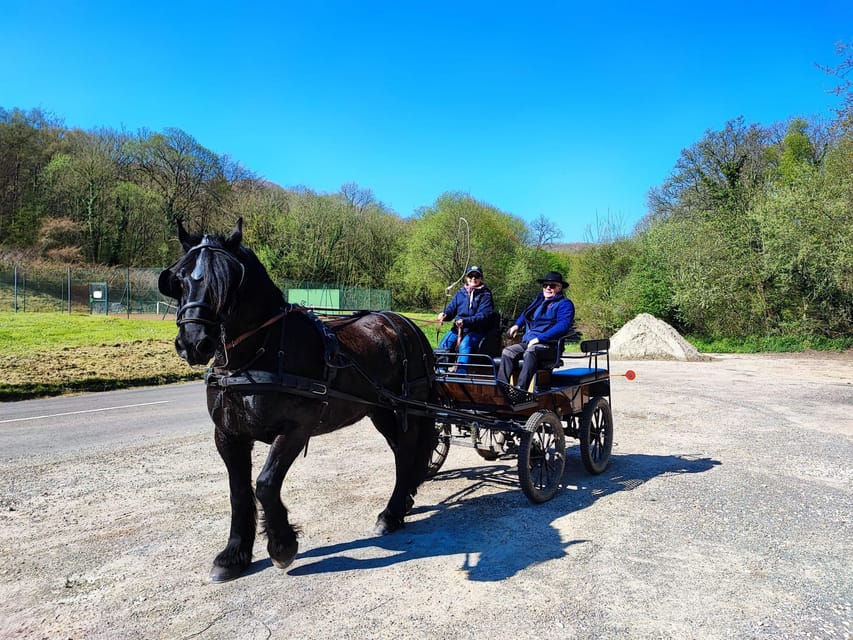 Mentheville, promenade en calèche à la campagne - Housity