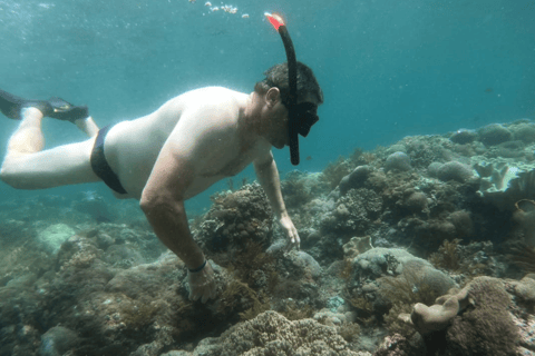 Vanuit Lembongan: Snorkelen 3 Spot Manta Bay, Gamat en MuurOchtendsessie