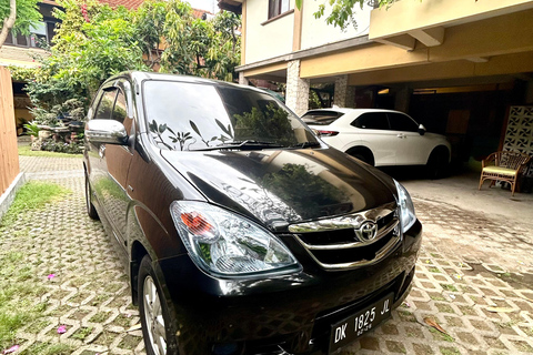 Ubud Waterfall, Temple, Rice Terrace & Art with Transfers