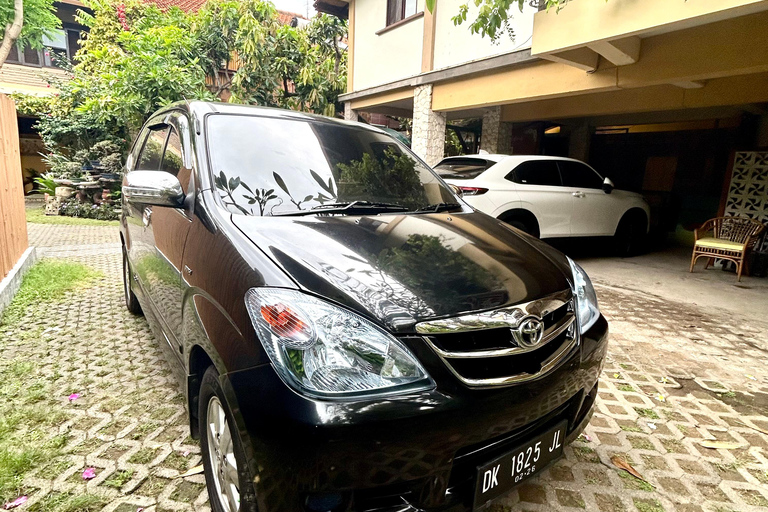 Ubud Waterfall, Temple, Rice Terrace & Art with Transfers