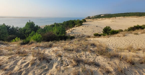 Von Bordeaux aus: Dune du Pilat, Bucht von Arcachon und Austernviertel – Private Tour