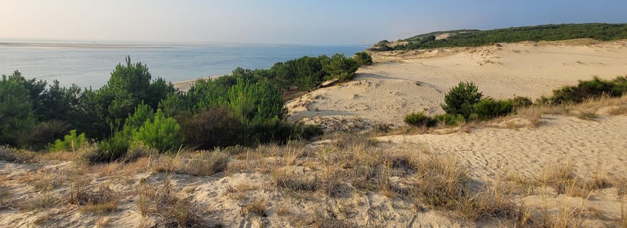 From Bordeaux: Dune du Pilat, Arcachon Bay and Oyster Village Private Tour