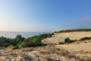 From Bordeaux: Dune du Pilat, Arcachon Bay and Oyster Village Private Tour