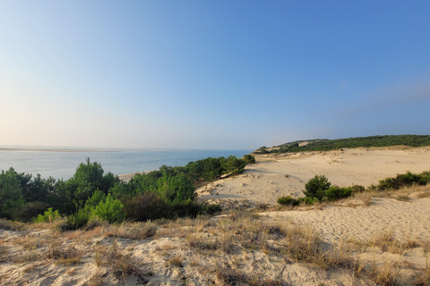 Bordeaux: escursione alla Baia di Arcachon e alla Dune du Pila con autista-guida
