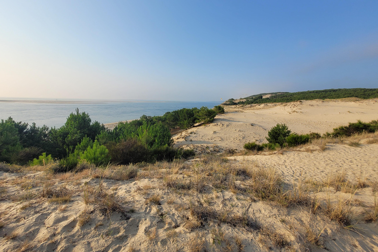 Bordeaux: escursione alla Baia di Arcachon e alla Dune du Pila con autista-guida