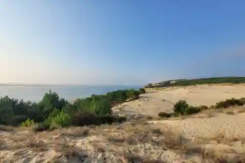 Burdeos: excursión a la Bahía de Arcachon y a la Duna de Pila con chófer-guía