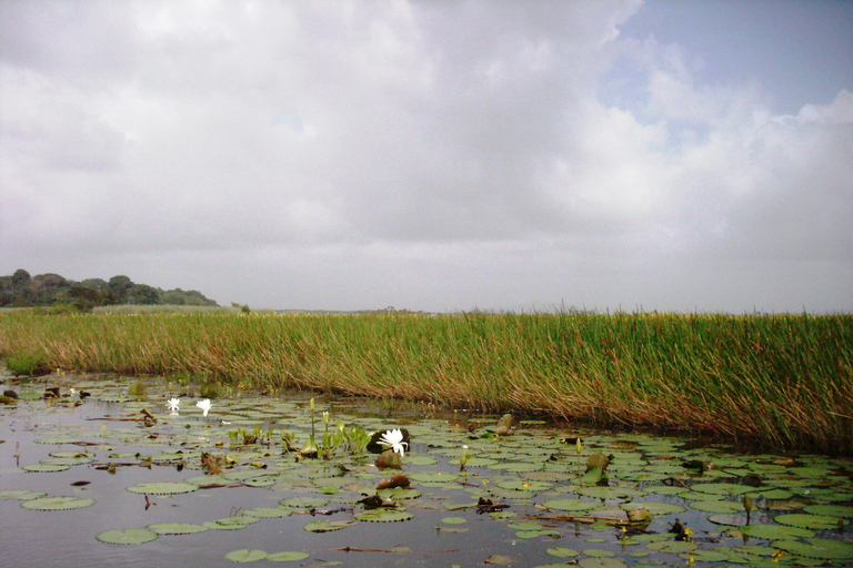 Pantano de Nariva: Experiencia de observación de monos