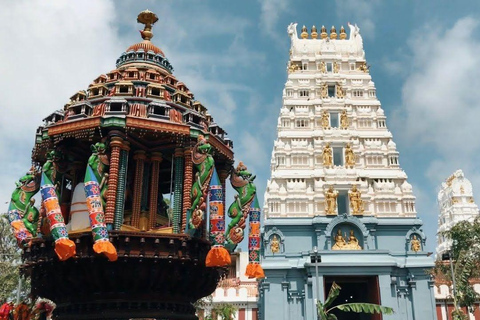 Sri Lanka: tour di 12 giorni alla scoperta del suo ricco patrimonio culturale