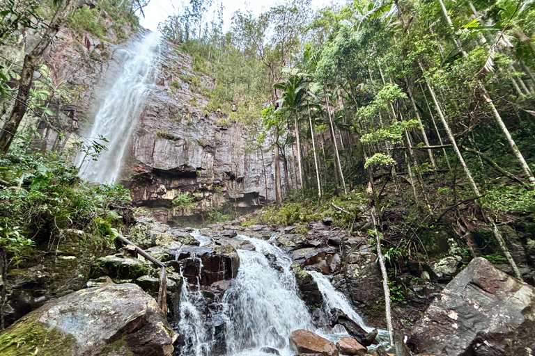 Byron Bay: Luciérnagas, Cascadas y Experiencia en la Selva Tropical