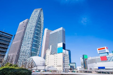 Tokyo City Tour: Private Full-Day Tour with Hotel Pickup Comfortable, air-conditioned Vellfire for 1–6 guests-8- Hour