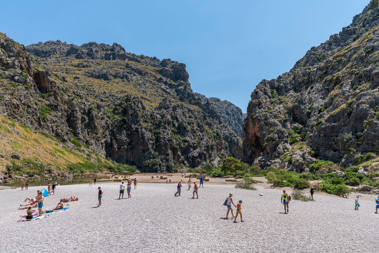 Mallorca: tour por la isla en barco y en tren desde el sur