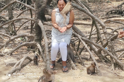 Visite d&#039;une jounée de la forêt de mangroves de Can Gio et de l&#039;île aux singes