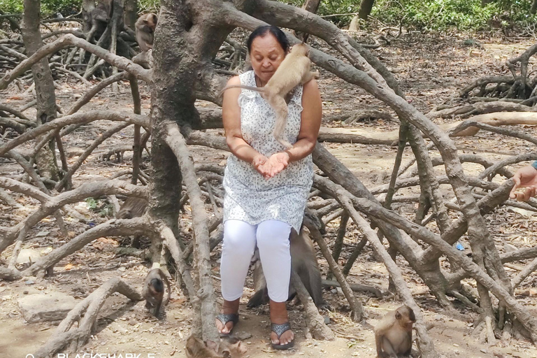 Can Gio Mangrovebos en Apeneiland dagvullende tour