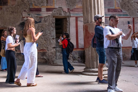 Rome: Pompeii & Amalfi Coast Day Trip, Skip-the-Line POMPEII ONLY Day Experience – No Amalfi Coast Included