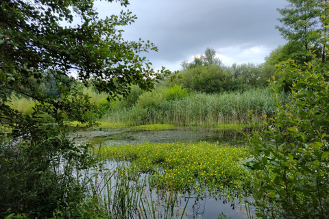 Excursión de un día por Flandes con Turnhout, Hoogstraten y Kasterlee