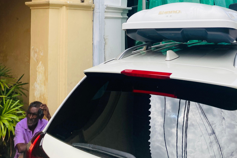 Galle Fort, Mask Museum, and Turtle Hatchery Day Trip