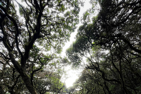 Kandy: escursione di 2 giorni sul monte Knuckles e tour del villaggioKandy: escursione di 2 giorni sul monte Knuckles e tour dei villaggi