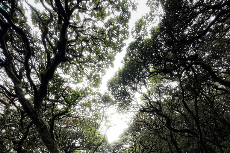 Kandy: escursione di 2 giorni sul monte Knuckles e tour del villaggioKandy: escursione di 2 giorni sul monte Knuckles e tour dei villaggi