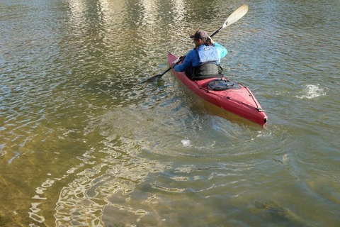 Sea Kayak Surfing Rough Water Workshop