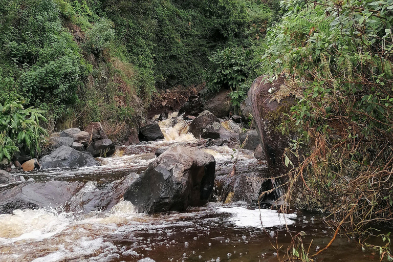 São Jorge: Fajã Camping und Wandertour