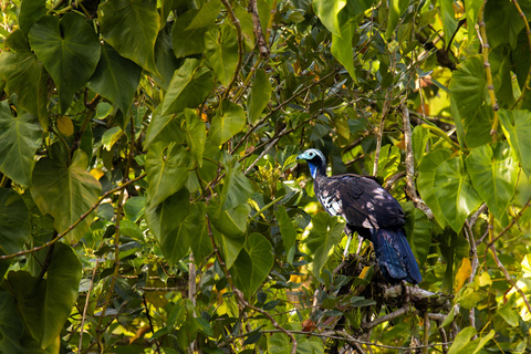 Visita al Jardín del Colibrí y la Piscina Natural