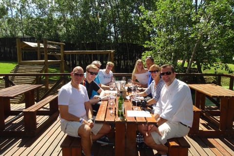 Cape Winelands Wine Tour: Durbanville, Paarl & Stellenbosch