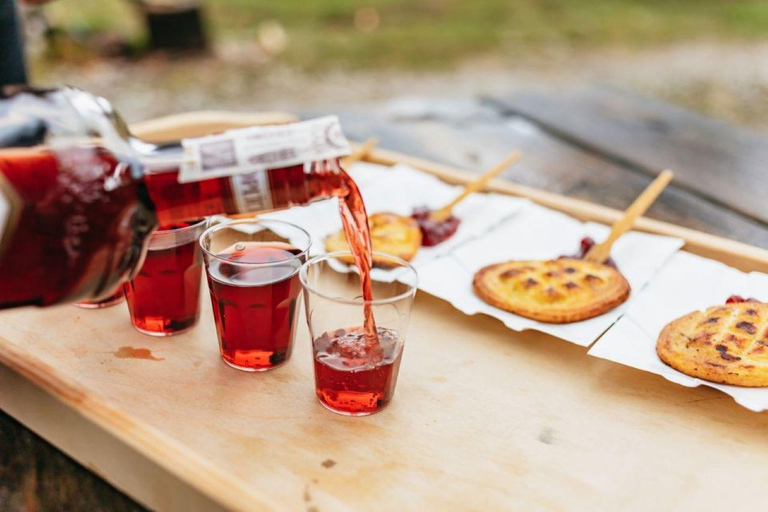 Zakopane: Przejażdżki konne z lokalnym przewodnikiem i degustacja potrawZima: Śnieżna przejażdżka saniami